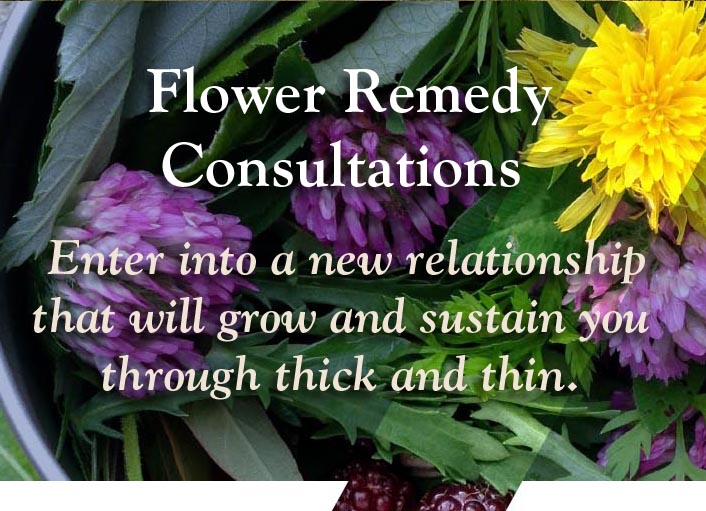 Flower Remedies